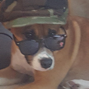 Team Page: Bella Boo